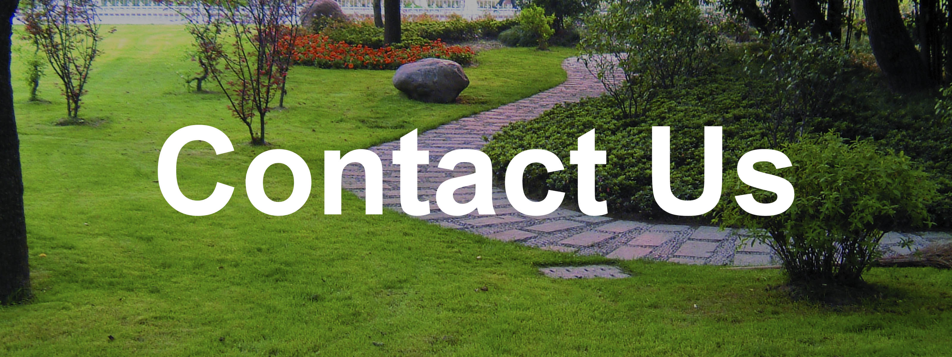 Contact Us